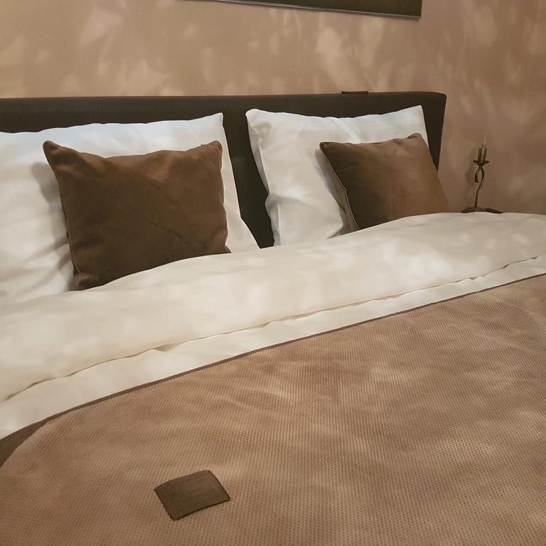 Classic Apartment บราชอฟ ภายนอก รูปภาพ