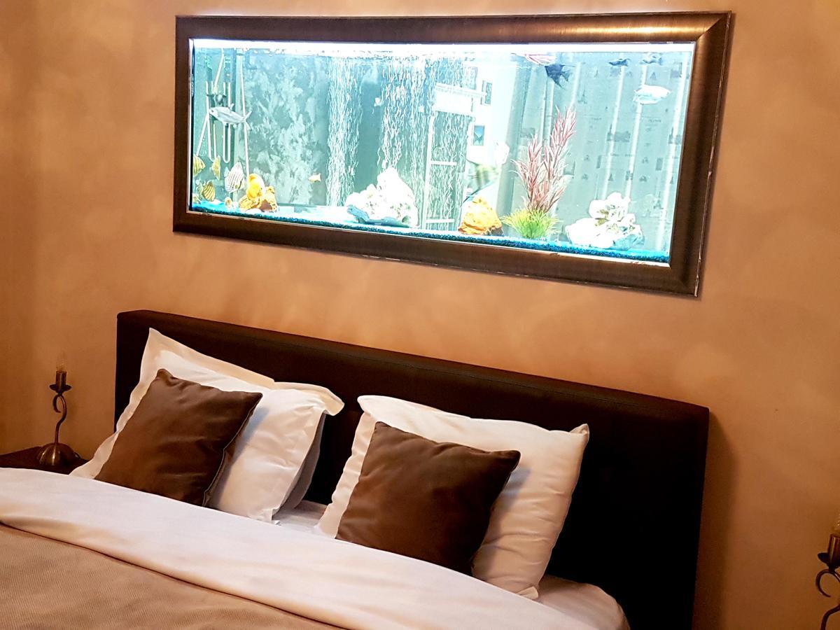 Classic Apartment บราชอฟ ภายนอก รูปภาพ